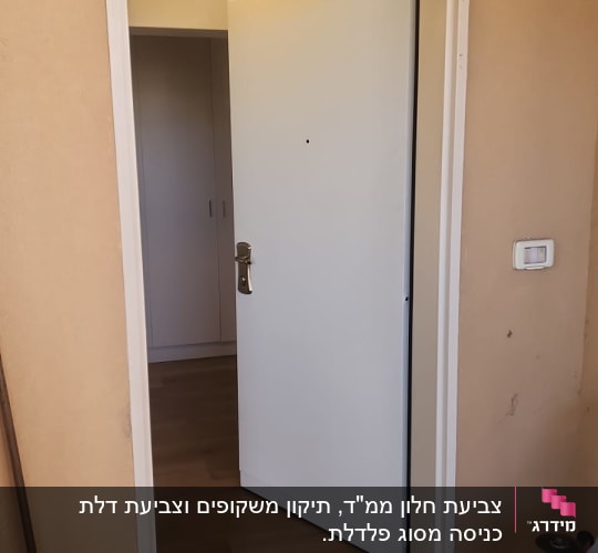 דלת לבנה פתוחה עם ידית מתכת